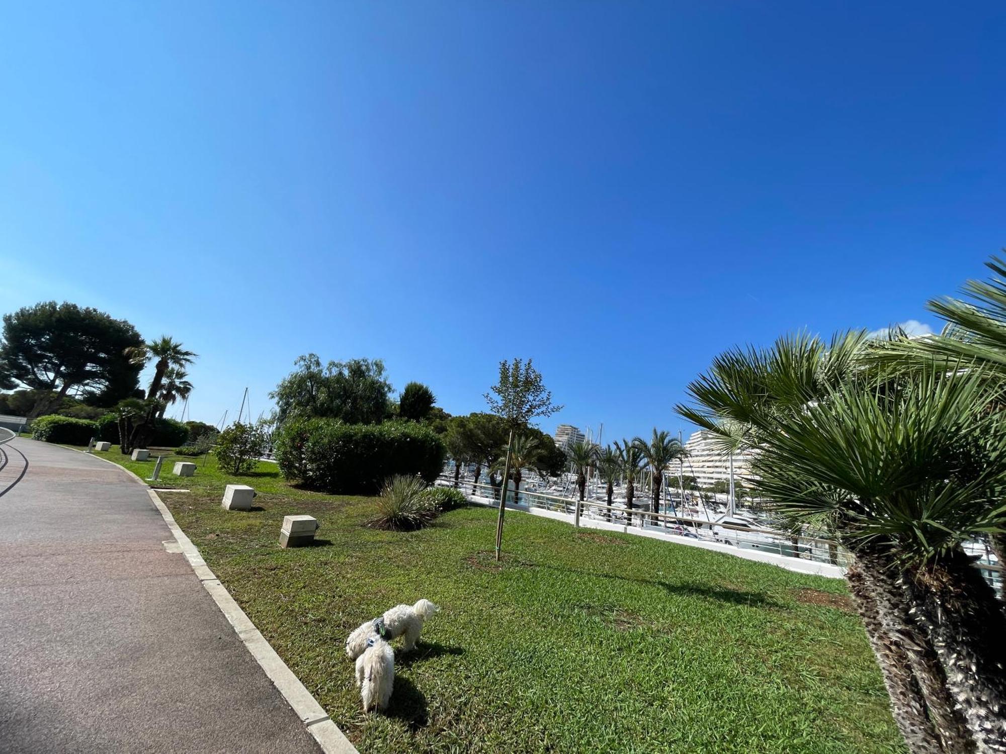 Studio A 2 Pas De La Plage Villeneuve-Loubet Exterior foto